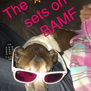 Meet your Posher, Jamie